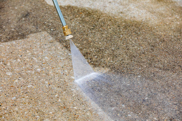Best Driveway Pressure Washing  in East Dundee, IL